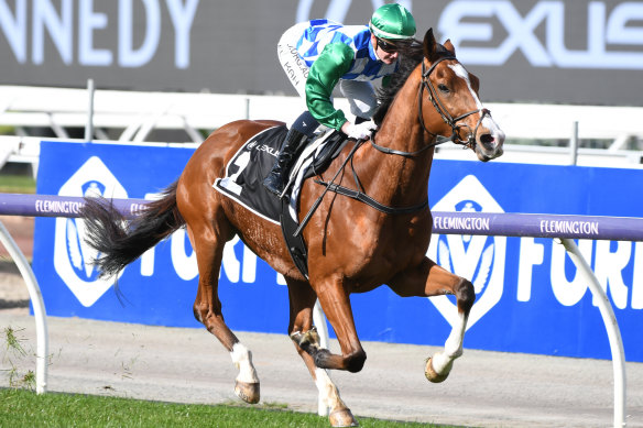 Grand Promenade’s target this spring is The Bart Cummings, with the aim of booking his place in the Melbourne Cup.