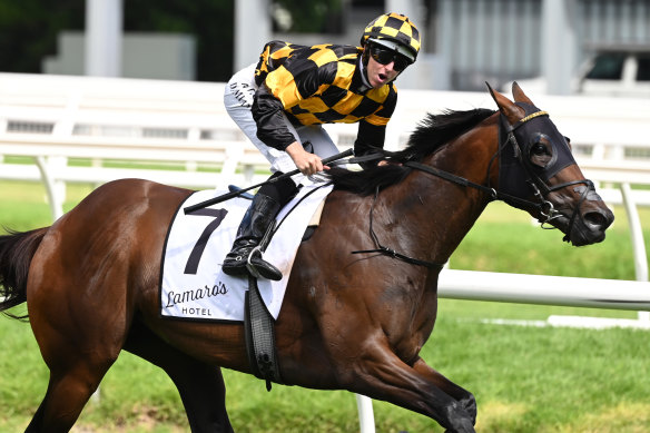 Probabeel has been made an early favourite following the announcement of the $2m Invitation.