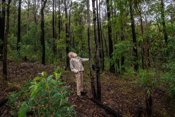 Bruce Pascoe’s Black Duck reinforces the need to actively care for Country.