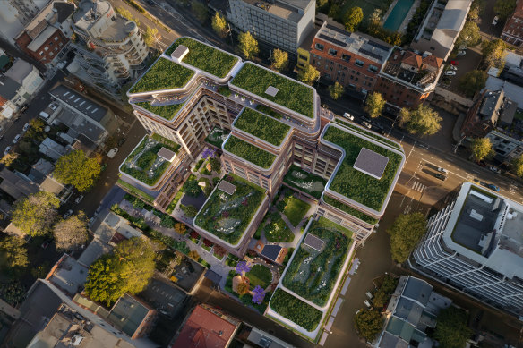 The rooftop garden of the proposed development on William Street, Woolloomooloo.