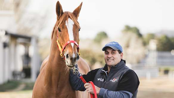 The punter's horse with 15,000 connections set for Canberra debut