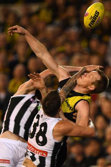 Tiger Jack Riewoldt is spoiled.