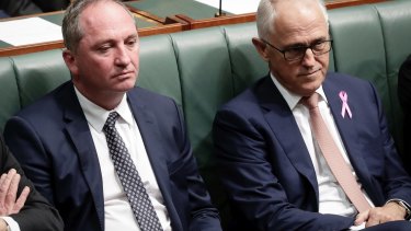 Deputy Prime Minister Barnaby Joyce and Prime Minister Malcolm Turnbull in parliament last week.