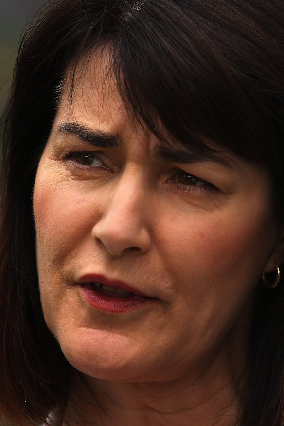 Mental Health Coordinating Council boss Carmel Tebbutt says too many patients have to use hospitals to access the system.