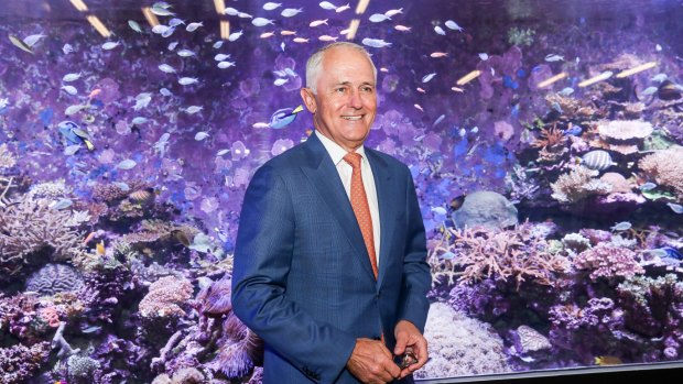 Prime Minister Malcolm Turnbull visits the Australian Institute of Marine Science to announce funding for the Great Barrier Reef.