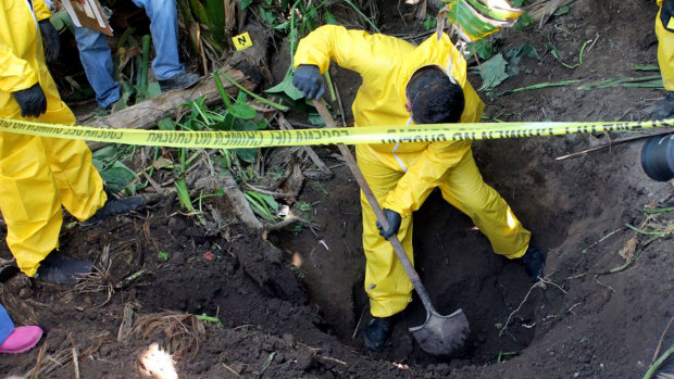 A man digs up a clandestine grave in Xalisco, Nayarit state, Mexico in which  at least 33 bodies were found.  Authorities believe they were probably involved in the drug trade. 
