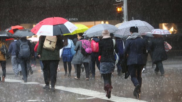 Heavy rain is forecast for parts of the central coast, and Sydney may also get a soaking.