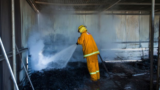 Fires in Terang destroyed several properties and killed livestock.