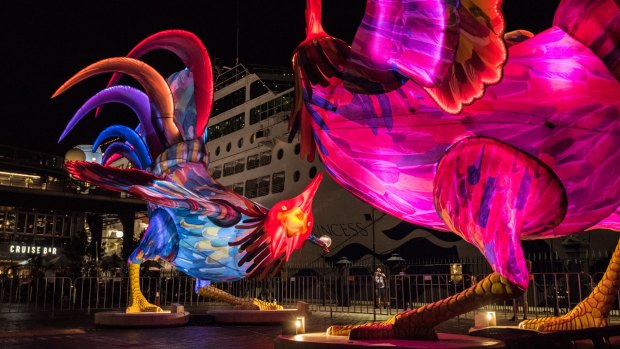 A large rooster lantern at the Overseas Passenger Terminal  in Sydney celebrates the start of the Chinese Year of the Dog.