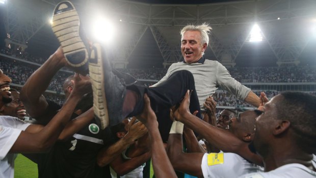 Bert van Marwijk is thrown into the air by the Saudi players after leading them to the 2018 World Cup. 