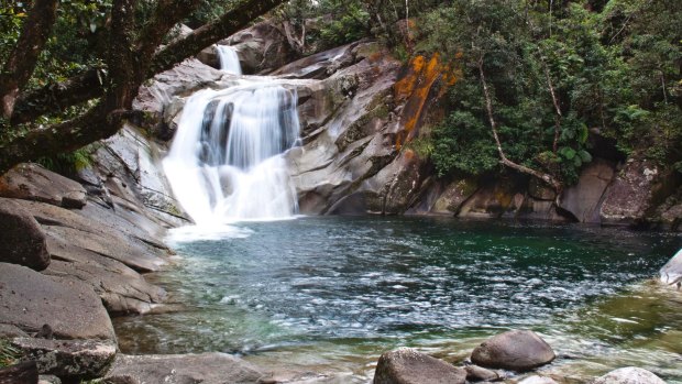 Initial investigations suggest the woman slid down a rock face and was washed into flooded waters at Josephine Falls.
