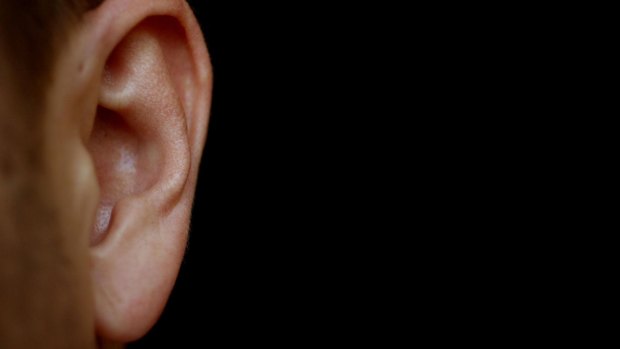 A man has been charged over allegedly biting a man's ear lobe off during a fight in Brisbane's south.