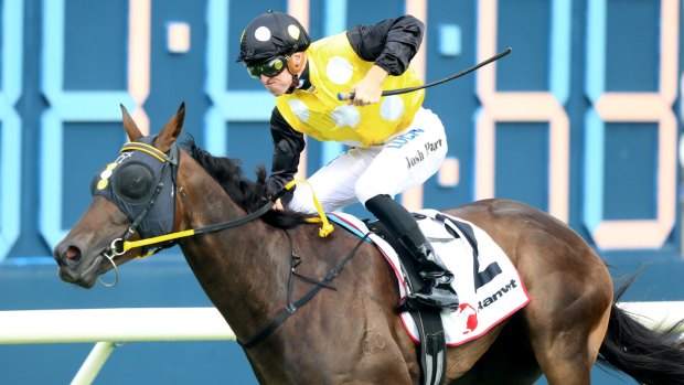 It's her time: Ben Smith has In Her Time ready to fly in The Galaxy at Rosehill on Saturday.