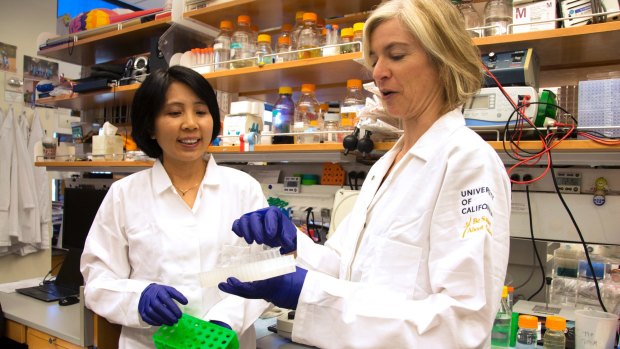 CRISPR co-inventor Jennifer Doudna, right, and lab manager Kai Hong in Berkeley, California.