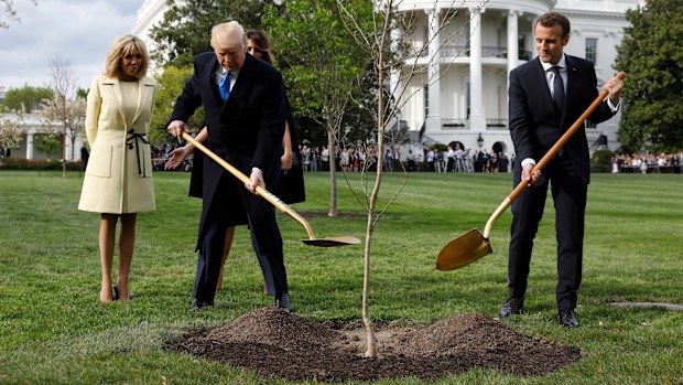 Trump, Macron planted a friendship tree. Now it's dead