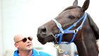 Peter Moody with his champion Black Caviar as her retirement was announced in 2013.