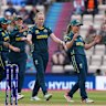 Australia celebrates a wicket during their 98 run win over the Netherlands.