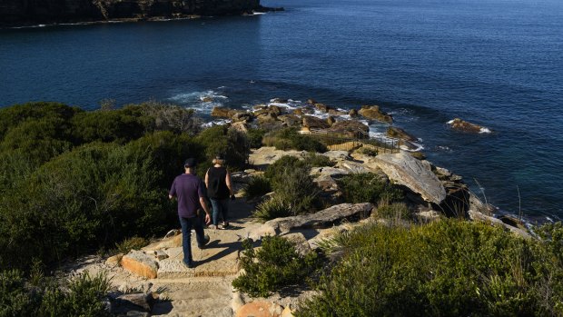 ‘Ambitious and exciting’: Scientists to account for National Parks’ flora, fauna and ferals