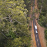 Through the forests near Pemberton.