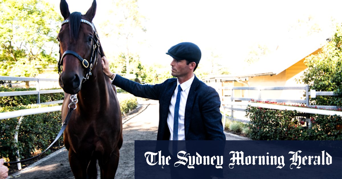 Sheik Mohammed’s racing operation spread $40 million worth of horses around the country. These trainers are the big winners