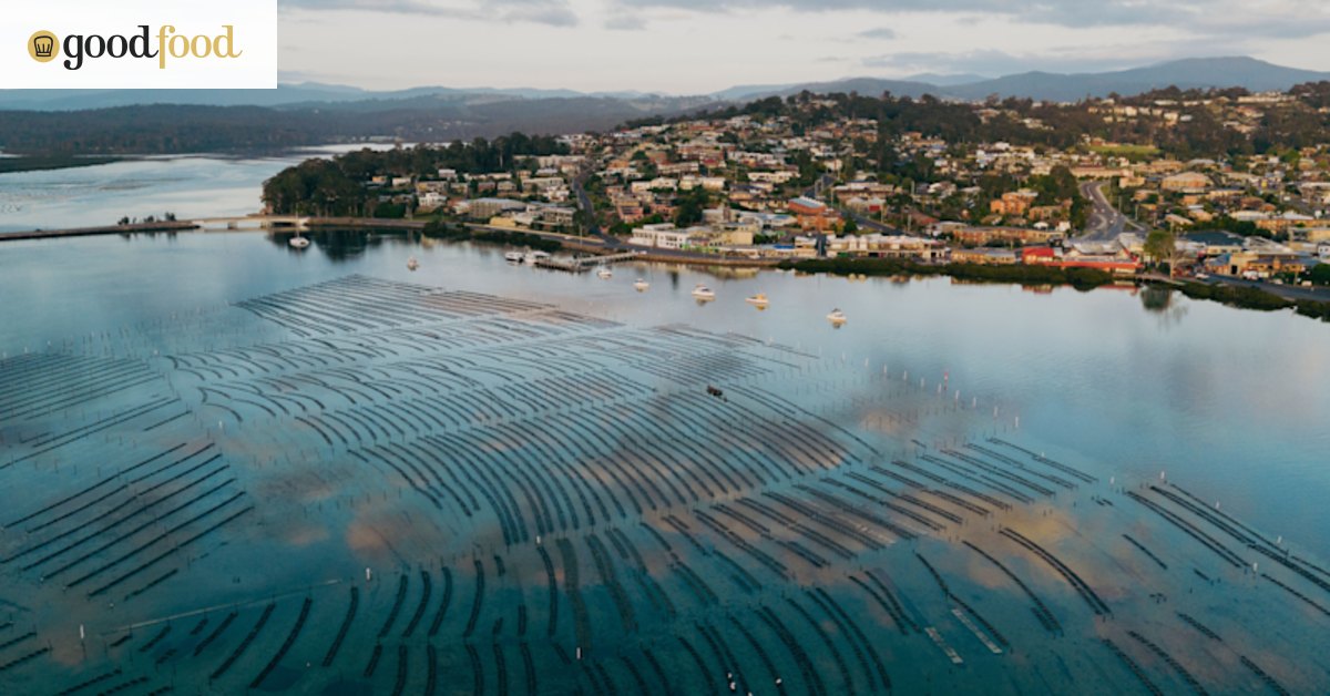 Long trips from Sydney