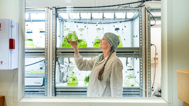 Dr Pia Winberg has spent 15 years working on her “species 84” seaweed research.