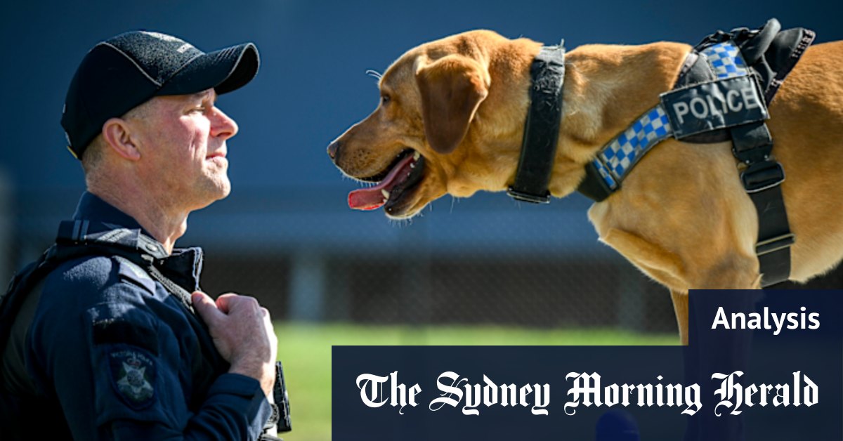 Who’s a good dog, then! A loyal squad celebrates 50 years, and it’s quite the tale
