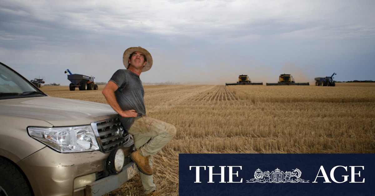 Victoria weather: Wild winds, extreme heat lash state as farmers struggle to harvest crops - Vimarsana News