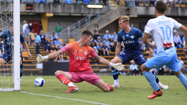 ‘He got them one point’: Phoenix keeper pulls out all the stops to deny Sydney FC