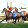 Racing returns to Taree on Thursday.