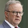 Albanese infuriates Labor members with election meddling
