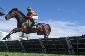Megan Dunseath became the first female rider to win over the jumps during a Warrnambool May carnival. 