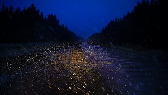 Snow begins to fall in the pine plantations at Shooters Hill near Oberon.