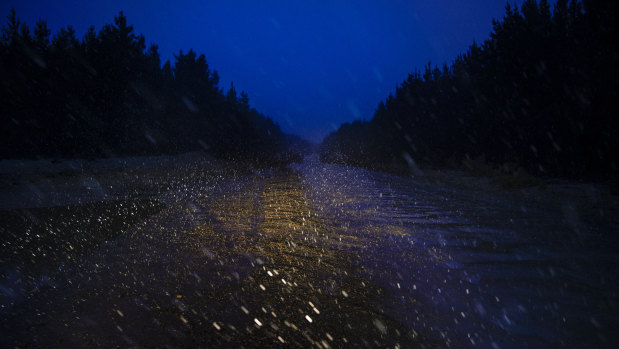 Snow begins to fall in the pine plantations at Shooters Hill near Oberon.