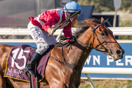 Ready to soar: Arcadia Queen will target the Golden Eagle under the care of Chris Waller