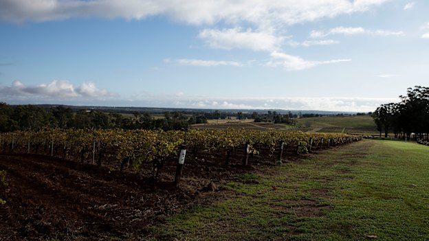 Tyrrell Wines in Pokolbin, Hunter Valley.