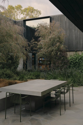 The blue starry flowers of Orthrosanthus multiflorus, or Morning Flag Iris, in a courtyard by Robyn Barlow Design.