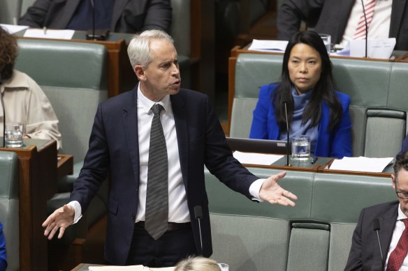 Immigration Minister Andrew Giles during question time today.