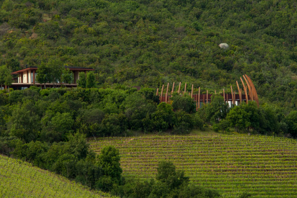 The Colchagua Valley in Chile.