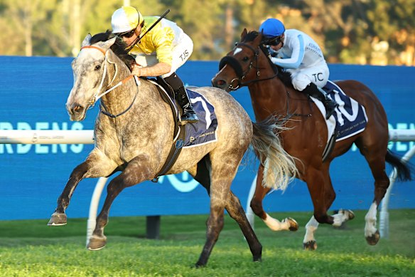 Briasa and Tyler Schiller win at Rosehill in August.