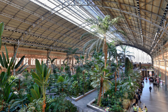 The tropical forest inside the train station of Atocha. It is the largest railway station in Madrid.