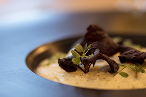 The entree of confit leek under a cloud of cauliflower fluff.