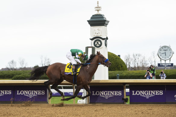 Flightline demolished his rivals in the Breeders’ Cup to extend his unbeaten record to six races - which he was won by a combined margin of more than 70 lengths.