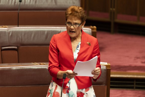 Senator Pauline Hanson says she was approached to sell her stake in the investment.