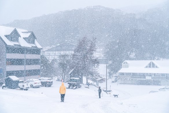 Fresh snowfall at Falls Creek last week.