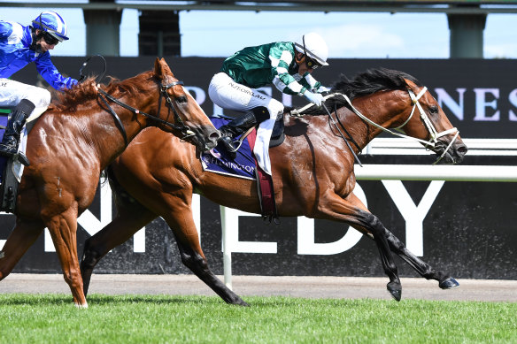 Tagaloa and jockey Luke Currie win the CS Hayes Stakes. They will team up again in the Australian Guineas at Flemington on Saturday. 