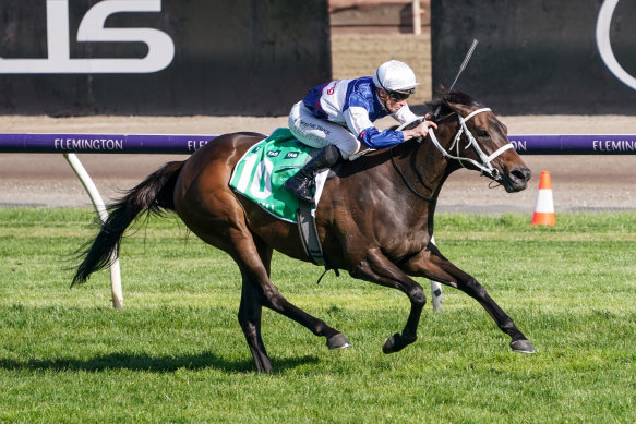 Atishu is back at Flemington to defend her Champions Stakes crown.