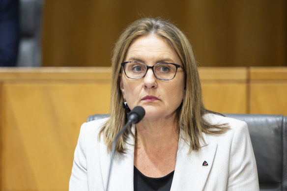 Victorian Premier Jacinta Allan says offshore wind is a key part of both the state and federal government’s renewable energy targets.