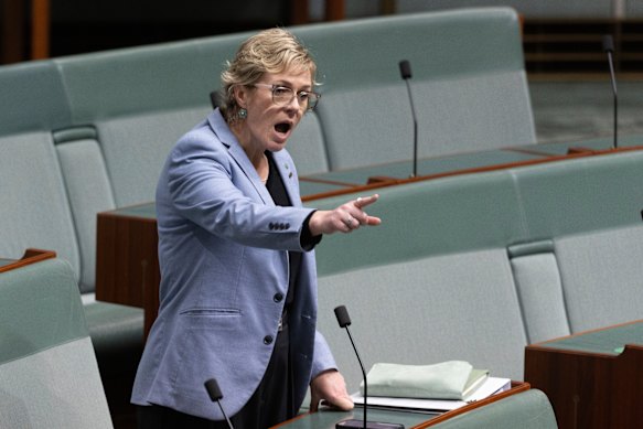 Zali Steggall speaking in parliament.