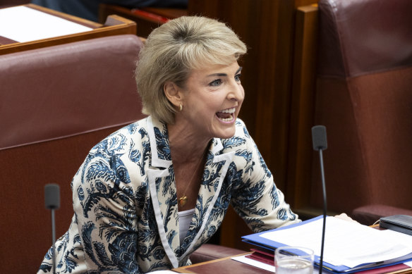 Shadow attorney general Michaelia Cash speaks in the Senate on Tuesday.